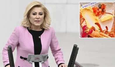 AK Parti MKYK üyesi Orhan Miroğlu’ndan Şebnem Bursalı’nın “Istakoz” paylaşımına tepki