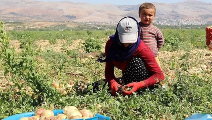Mevsimlik tarım işçilerine gece yolculuğu ve eğitim düzenlemesi