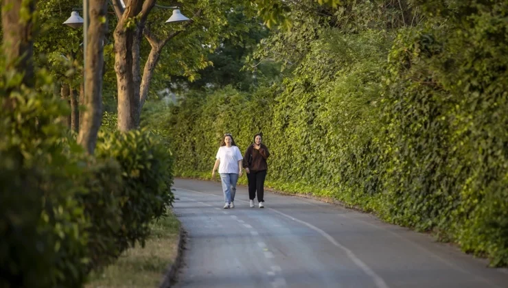 Kurban Bayramı tatilinde Kandıra, Sapanca ve Akçakoca tercih ediliyor