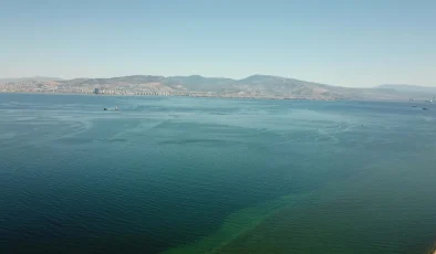 Aşırı ısınma nedeniyle Ege Denizi’ndeki egzotik balık türleri çoğaldı