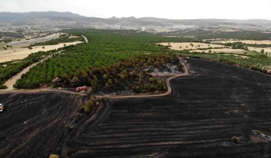 Çanakkale’de Haziran Ayında 132 Yangın Meydana Geldi