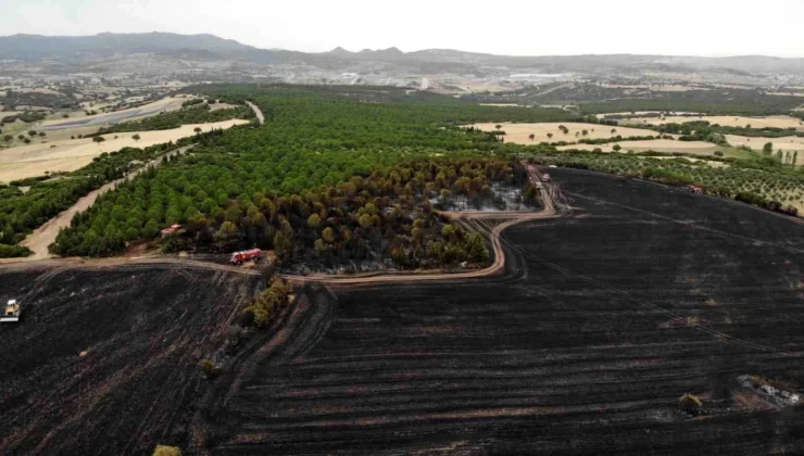 Çanakkale’de Haziran Ayında 132 Yangın Meydana Geldi