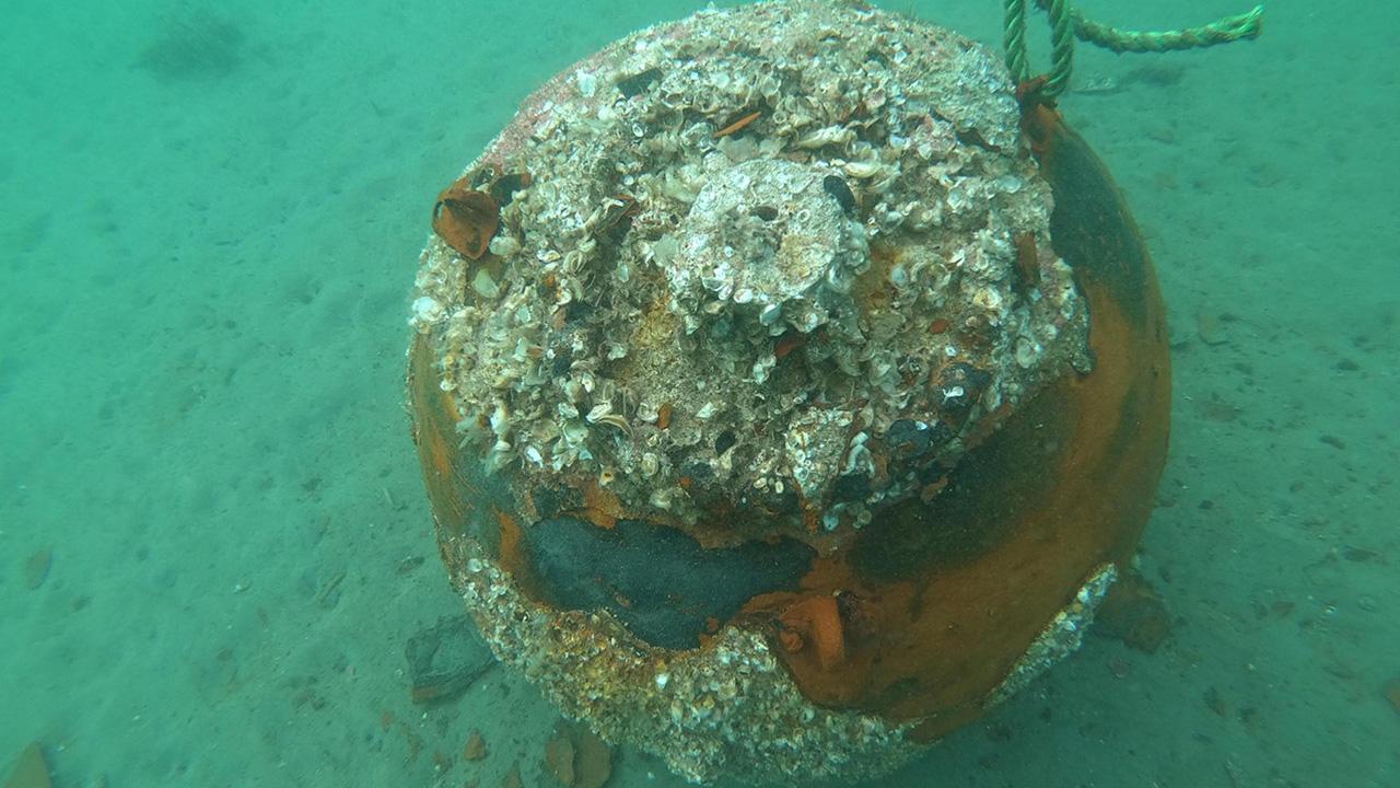 Çanakkale Savaşları’ndan kalan 110 yıllık deniz mayını imha edildi